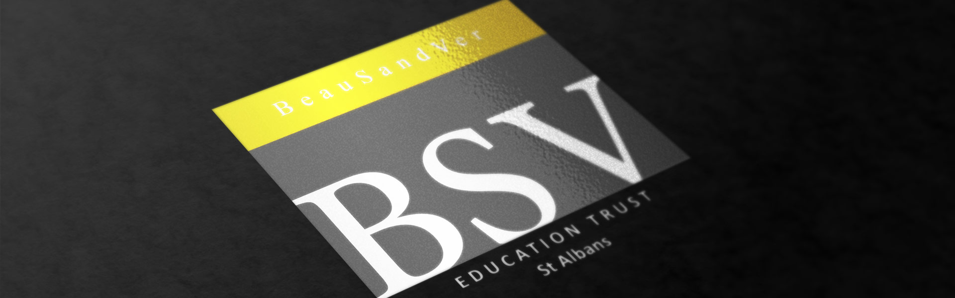 BSV logo in isometric view on black background.