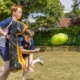 students practising rugby