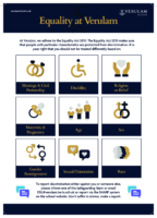 Click to download the ‘Equality at Verulam’ poster